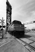 Chicago-black-and-white-series-noir-et-blanc-photo-by-Charles-GUY-10