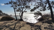 C29-Corsica-photos-de-Charles-GUY-2