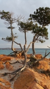 C66-Corsica-photo-de-Charles-GUY