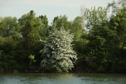 C23-En-Seine-photo-Charles-Guy
