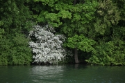 C24-En-Seine-photo-Charles-Guy