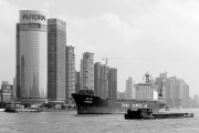 NB-04