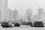 NB-05