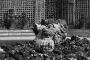 NB 05 - Château de Versailles - Bosquet de l'Encelade - © Photo Charles GUY